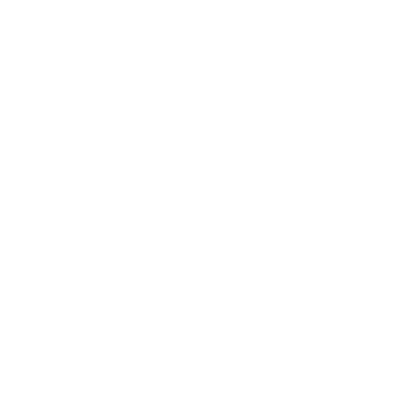 VNex